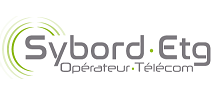 Logo SYBORG